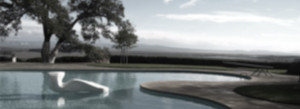 Banner 3 II