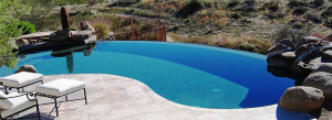 Banner 6