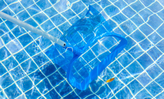 pool maintenance