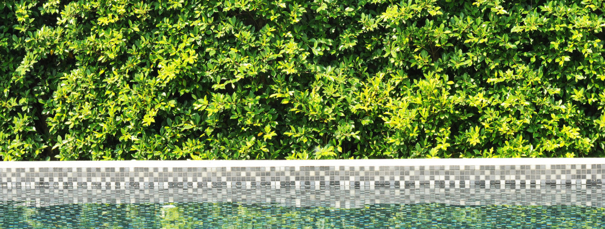 pool leak