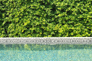 pool leak