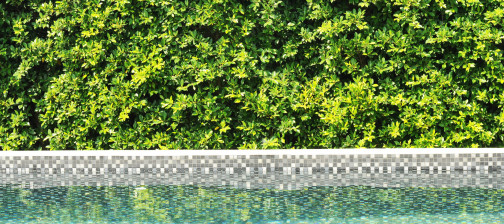 pool leak