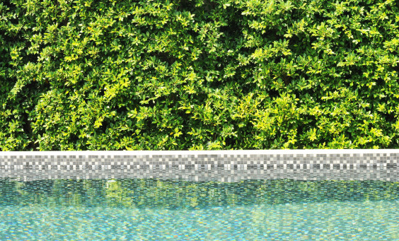pool leak