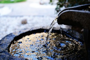 Water Feature