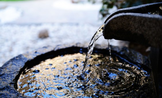 Water Feature