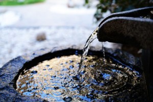 Water Feature