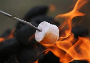 roasted marshmallow
